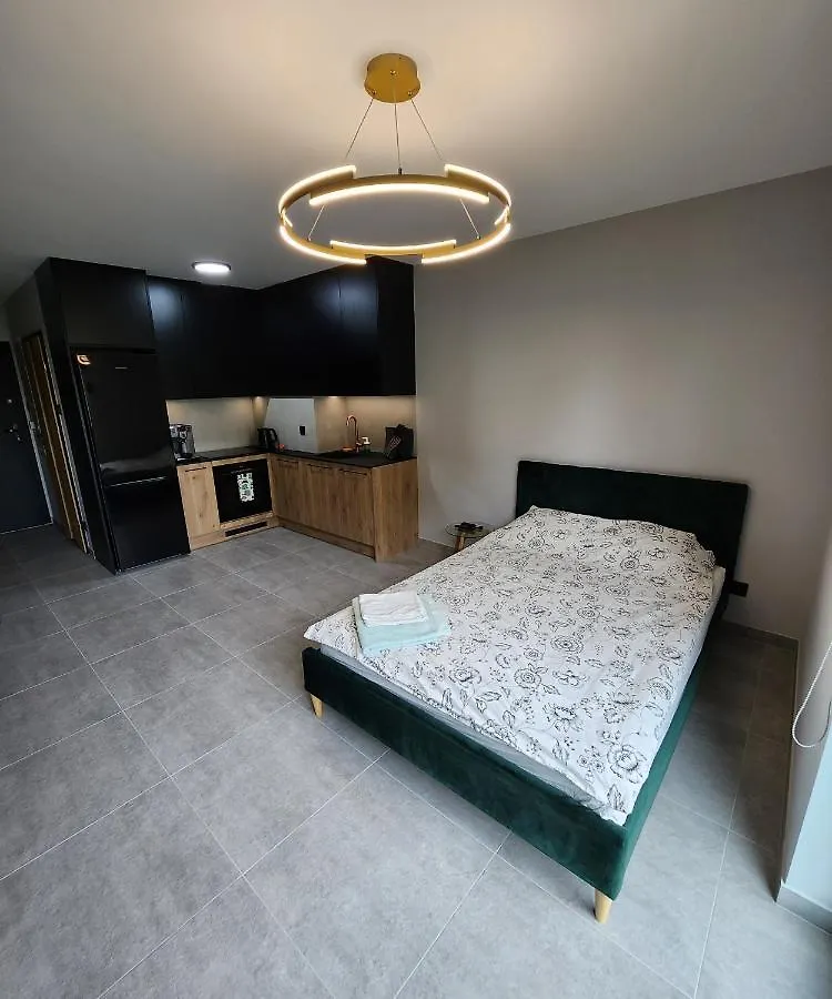 קרקוב Vistula Loft Apartment , Spa , Sauna & Swimming Pool, Free Parking! 0*,  פולין
